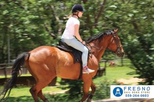 Horseback Riding Laws: Even Horses Have Laws
